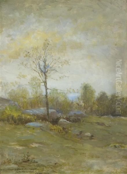 ''spring, Lyme'' - view 1