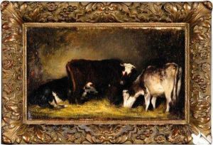 Vaches A L'etable