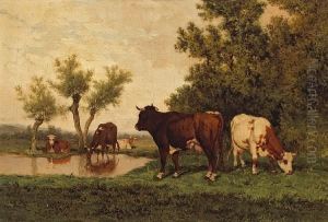 Cattle Grazing Near A Pond