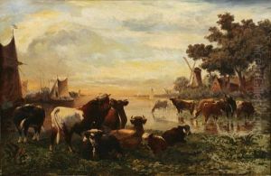 Dutch Estuary Scene With Cows Watering Atsunset