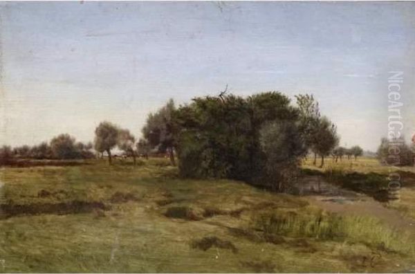 Paysage. - view 1