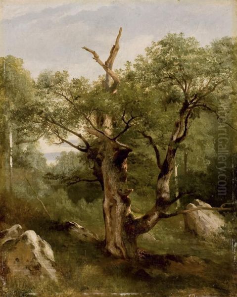Etude D'arbres - view 1