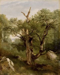 Etude D'arbres by Jules Louis Phillipe Coignet