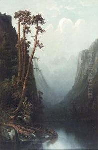 River Landscape With A Stand Of Pine Trees