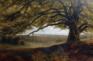 A Summer Woodland View by Alfred Benjamin Cole