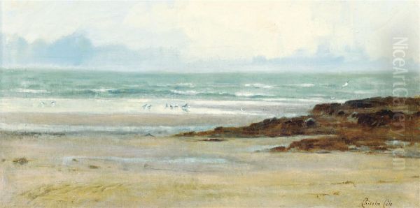 Gulls On A Beach, Low-tide - view 1