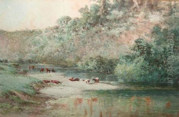 Cattle Watering In A River - view 1