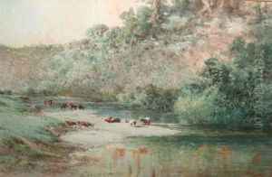 Cattle Watering In A River