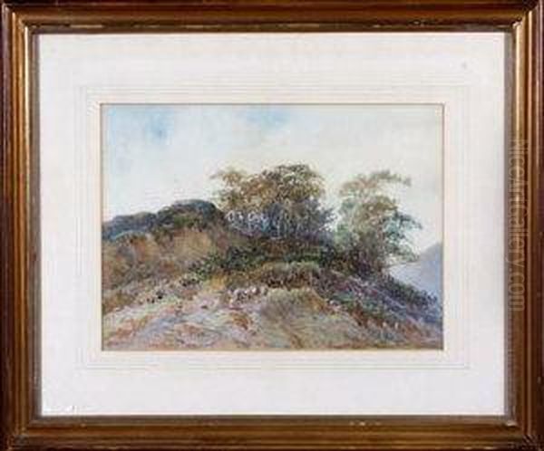 A Tree-topped Hill With Sheep Grazing In The Foreground - view 1