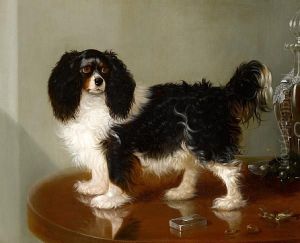 A Toy Spaniel by George Cole, Snr.