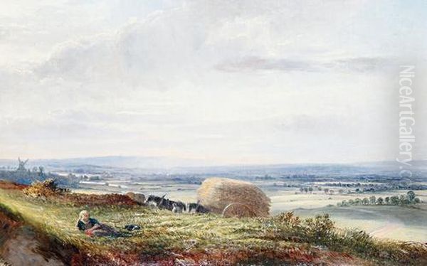 Haymaking - view 1