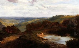 Extensive South Country Landscape