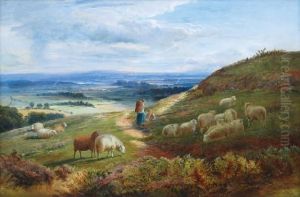 Sheepat Rest