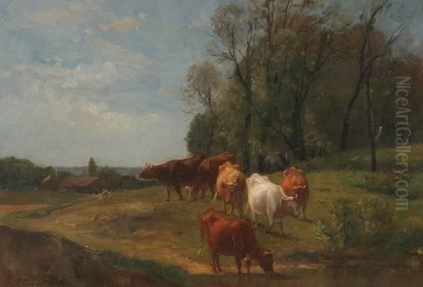 Cattle Drinking - view 1