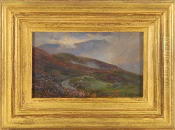 Highland Landscape - view 1
