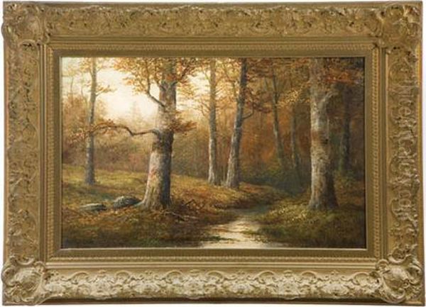 Forest Scene - view 1