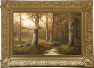 Forest Scene by Willet Cole
