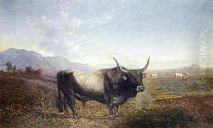 Bull In A Roman Campagna