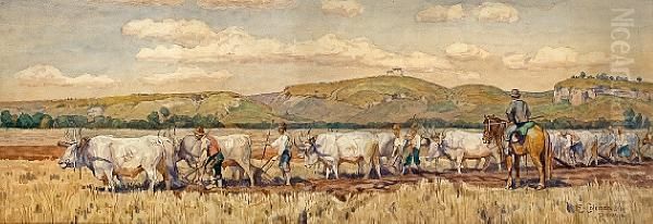 Plowing - view 1