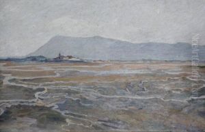 Maree Basse