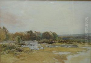 Suffolk Landscape With Sheep