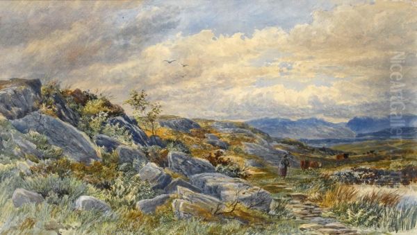 In The Mawddach Valley North Wales - view 1