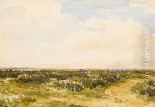 An Extensive Dune Landscape - view 1