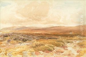 On The Moors