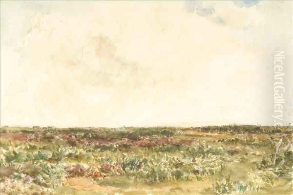 In Suffolk - view 1