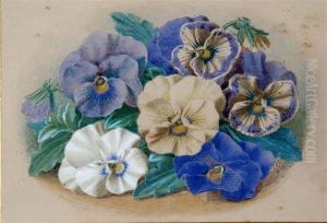 Still Life Of Pansies by Thomas F. Collier