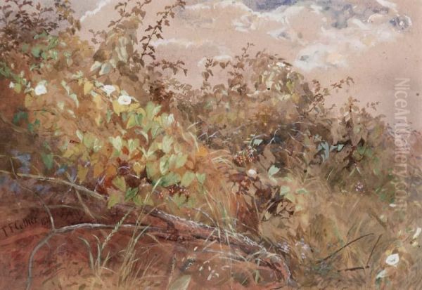 Hedgerow - view 1
