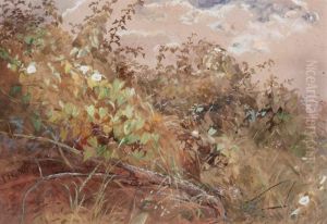 Hedgerow