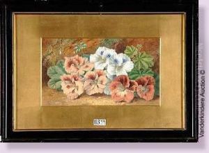 gerbe De Fleurs