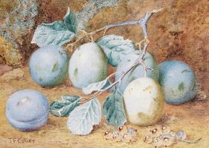 Plums On A Mossy Bank; A Primrose And A Bird's Nest On A Mossy Bank by Thomas Collier