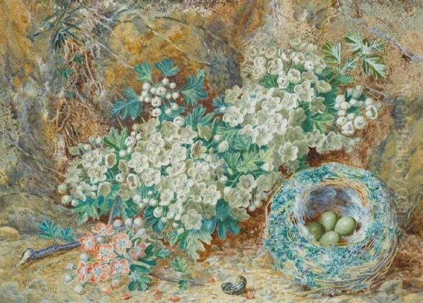 Birds Nest And Wild Flowers - view 1