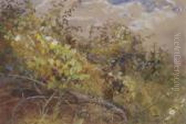 Hedgerow With Convolvulus - view 1
