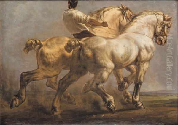 Les Chevaux De Labour - view 1