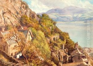 The Rock Gardens Of Barmouth