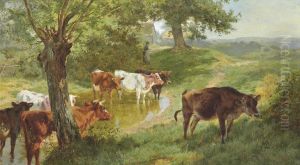 Cattle Watering At A Dew Pond by Charles Collins