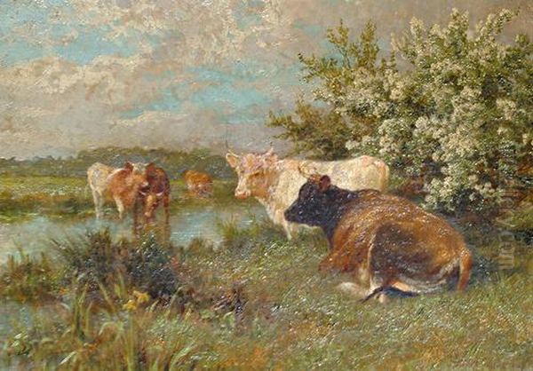 Cattle Watering - view 1