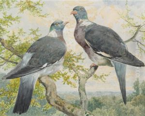 Wood Pigeons Wood Pigeons