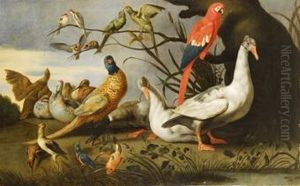 Ocas, Faisanes, Un Loro Y Otras Aves En Un Paisaje by Charles Collins