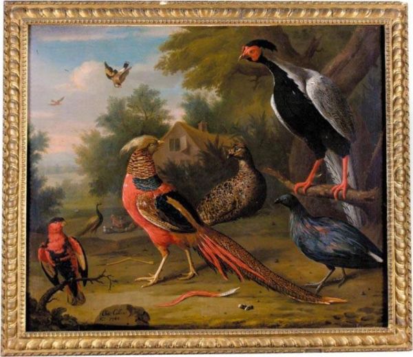 Exotic Pheasants And Other Birds - view 1