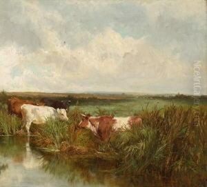 Kuhe Am Weiher. by Charles Collins