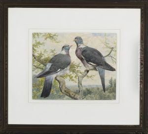 Wood Pigeons by Charles Ii Collins