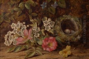 A Still Life With Bird's Nest And Flowers by Thomas Collins