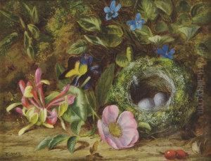 A Naturalistic Still Life With Birds Nest And Wildflowers by Thomas Collins