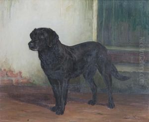 A Portrait Of A Black Labrador by Margaret Collyer