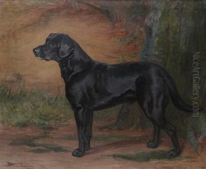 Portrait Of A Black Labrador by Margaret Collyer