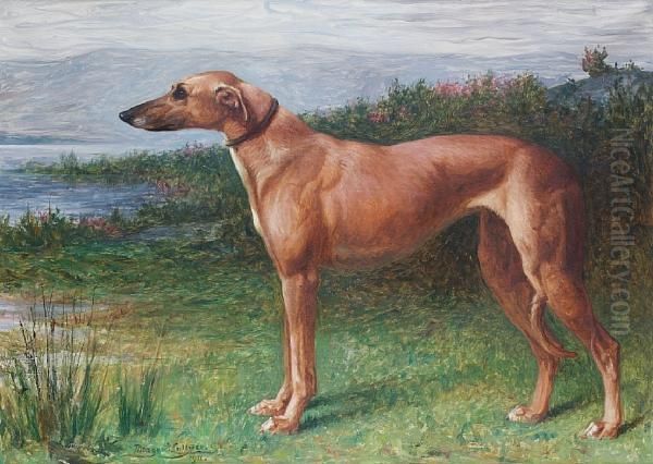 Portrait Of A Greyhound In A Landscape - view 1
